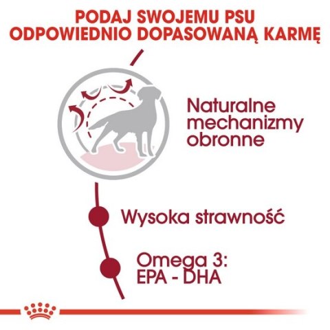 Royal Canin Medium Adult karma sucha dla psów dorosłych, ras średnich 4kg Royal Canin Medium Adult karma sucha dla psów dorosłych, ras średnich 4kg