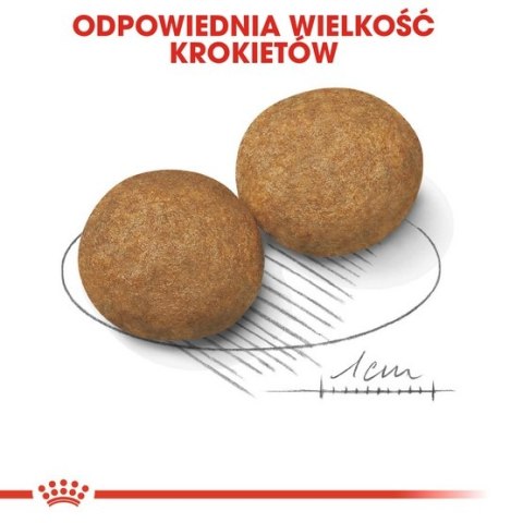 Royal Canin Medium Adult karma sucha dla psów dorosłych, ras średnich 4kg Royal Canin Medium Adult karma sucha dla psów dorosłych, ras średnich 4kg