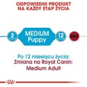 Royal Canin Medium Puppy karma mokra w sosie dla szczeniąt, od 2 do 12 miesiąca, ras średnich 140g