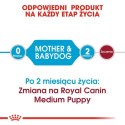 Royal Canin Medium Starter Mother&Babydog karma sucha dla szczeniąt do 2 miesiąca i suk karmiących ras średnich 12kg