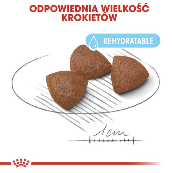 Royal Canin Medium Starter Mother&Babydog karma sucha dla szczeniąt do 2 miesiąca i suk karmiących ras średnich 12kg Royal Canin Medium Starter Mother&Babydog karma sucha dla szczeniąt do 2 miesiąca i suk karmiących ras średnich 12kg