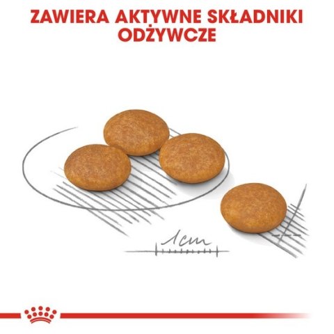 Royal Canin Mini Dermacomfort karma sucha dla psów dorosłych, ras małych o wrażliwej skórze skłonnej do podrażnień 8kg Royal Canin Mini Dermacomfort karma sucha dla psów dorosłych, ras małych o wrażliwej skórze skłonnej do podrażnień 8kg