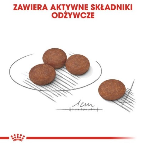 Royal Canin Mini Digestive Care karma sucha dla psów dorosłych, ras małych o wrażliwym przewodzie pokarmowym 8kg Royal Canin Mini Digestive Care karma sucha dla psów dorosłych, ras małych o wrażliwym przewodzie pokarmowym 8kg