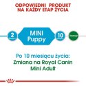 Royal Canin Mini Puppy karma sucha dla szczeniąt, od 2 do 10 miesiąca życia, ras małych 8kg