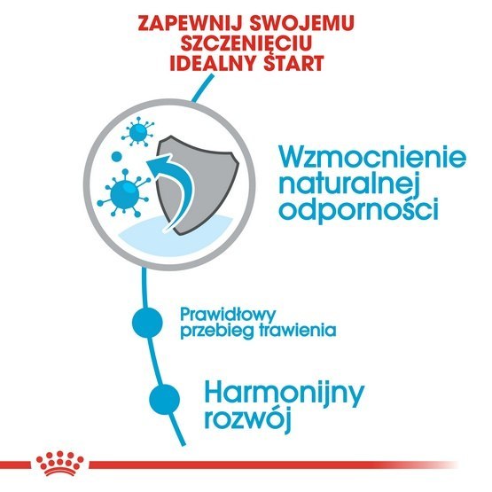 Royal Canin Mini Puppy karma sucha dla szczeniąt, od 2 do 10 miesiąca życia, ras małych 8kg Royal Canin Mini Puppy karma sucha dla szczeniąt, od 2 do 10 miesiąca życia, ras małych 8kg
