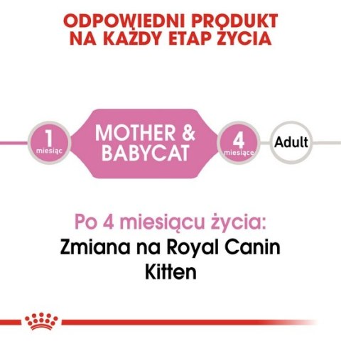 Royal Canin Mother & Babycat Mousse karma mokra - mus dla kociąt i kotek karmiących puszka 195g Royal Canin Mother & Babycat Mousse karma mokra - mus dla kociąt i kotek karmiących puszka 195g