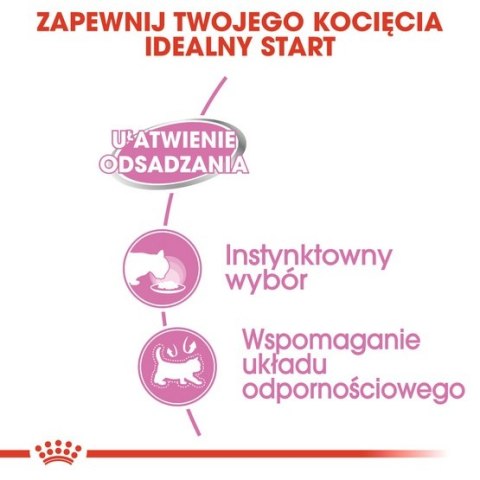 Royal Canin Mother & Babycat Mousse karma mokra - mus dla kociąt i kotek karmiących puszka 195g Royal Canin Mother & Babycat Mousse karma mokra - mus dla kociąt i kotek karmiących puszka 195g