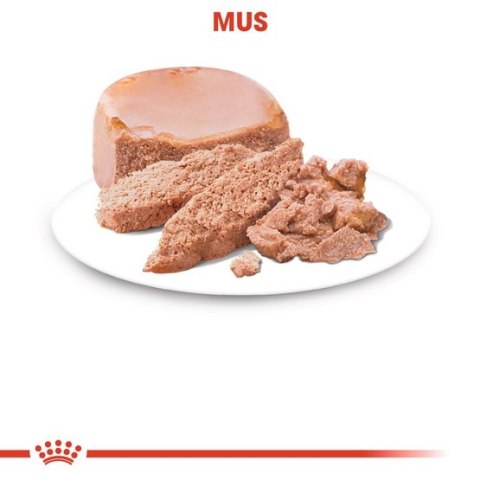 Royal Canin Mother & Babycat Mousse karma mokra - mus dla kociąt i kotek karmiących puszka 195g Royal Canin Mother & Babycat Mousse karma mokra - mus dla kociąt i kotek karmiących puszka 195g