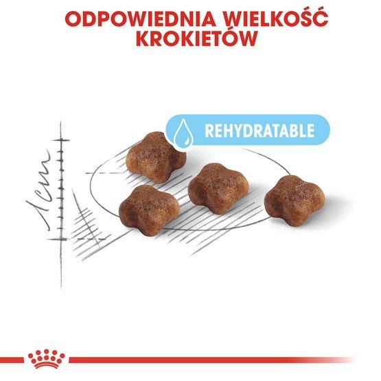 Royal Canin Mother&Babycat karma sucha dla kotek w okresie ciąży, laktacji i kociąt od 1 do 4 miesiąca 4kg Royal Canin Mother&Babycat karma sucha dla kotek w okresie ciąży, laktacji i kociąt od 1 do 4 miesiąca 4kg
