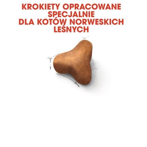 Royal Canin Norvegian Forest Cat Adult karma sucha dla kotów dorosłych rasy norweski leśny 400g Royal Canin Norvegian Forest Cat Adult karma sucha dla kotów dorosłych rasy norweski leśny 400g