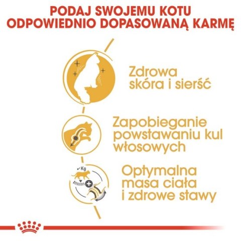Royal Canin Norvegian Forest Cat Adult karma sucha dla kotów dorosłych rasy norweski leśny 400g Royal Canin Norvegian Forest Cat Adult karma sucha dla kotów dorosłych rasy norweski leśny 400g