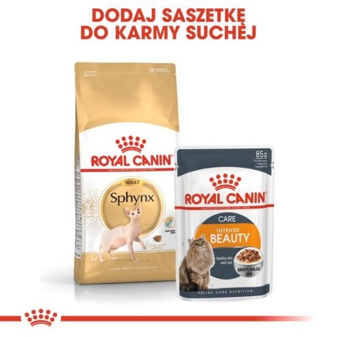Royal Canin Sphynx Adult karma sucha dla kotów dorosłych rasy sfinks 2kg Royal Canin Sphynx Adult karma sucha dla kotów dorosłych rasy sfinks 2kg