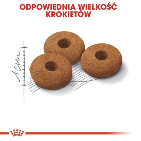 Royal Canin Appetite Control Care karma sucha dla kotów dorosłych, domagających się jedzenia 2kg Royal Canin Appetite Control Care karma sucha dla kotów dorosłych, domagających się jedzenia 2kg