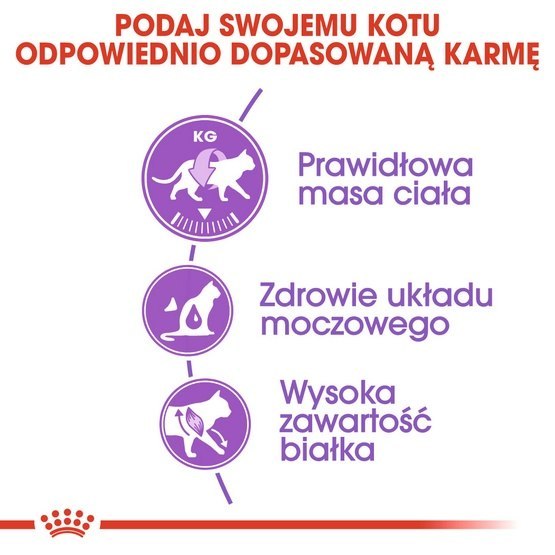 Royal Canin Sterilised karma sucha dla kotów dorosłych, sterylizowanych 4kg Royal Canin Sterilised karma sucha dla kotów dorosłych, sterylizowanych 4kg