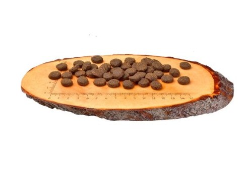 Carnilove Dog Reindeer Adult - renifer 1,5kg Carnilove Dog Reindeer Adult - renifer 1,5kg