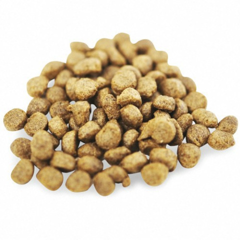 Fish4Dogs Finest Ocean White Fish Adult Small 6kg+6kg Fish4Dogs Finest Ocean White Fish Adult Small 6kg+6kg