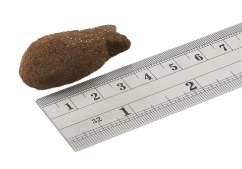Fish4Dogs White Fish Morsels – wsparcie układu pokarmowego 225g Fish4Dogs White Fish Morsels – wsparcie układu pokarmowego 225g
