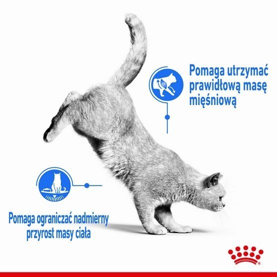 Royal Canin Light Weight Care karma sucha dla kotów dorosłych, utrzymanie prawidłowej masy ciała 8kg