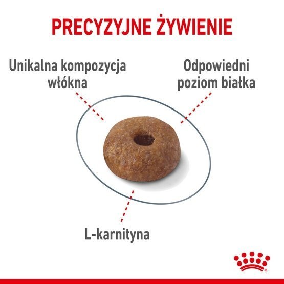 Royal Canin Light Weight Care karma sucha dla kotów dorosłych, utrzymanie prawidłowej masy ciała 8kg Royal Canin Light Weight Care karma sucha dla kotów dorosłych, utrzymanie prawidłowej masy ciała 8kg