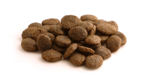 Fish4Dogs Finest Salmon Senior Large 1,5kg Fish4Dogs Finest Salmon Senior Large 1,5kg