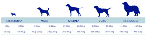 Fish4Dogs Finest Salmon Senior Large 1,5kg Fish4Dogs Finest Salmon Senior Large 1,5kg