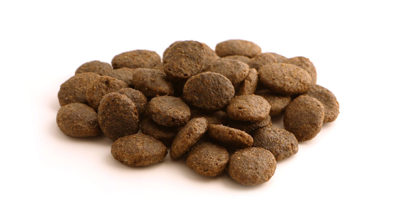 Fish4Dogs Finest Salmon Senior Large 12kg Fish4Dogs Finest Salmon Senior Large 12kg