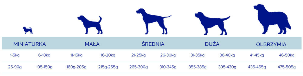 Fish4Dogs Finest Salmon Senior Large 12kg Fish4Dogs Finest Salmon Senior Large 12kg