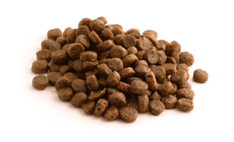 Fish4Dogs Finest Salmon Senior Small 1,5kg Fish4Dogs Finest Salmon Senior Small 1,5kg