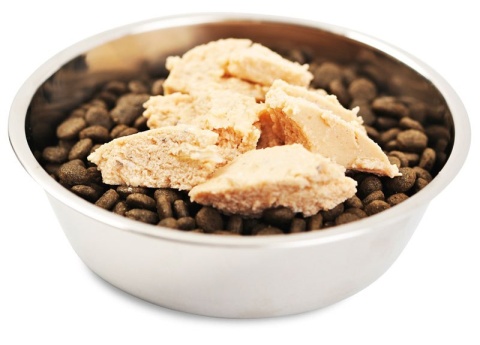 Fish4Dogs Finest Trout Mousse - Pstrąg mus 100g Fish4Dogs Finest Trout Mousse - Pstrąg mus 100g