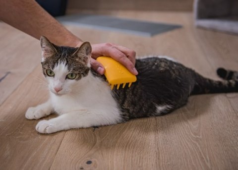 Fiboo Miękka szczotka dla kota żółta Fiboo Miękka szczotka dla kota żółta