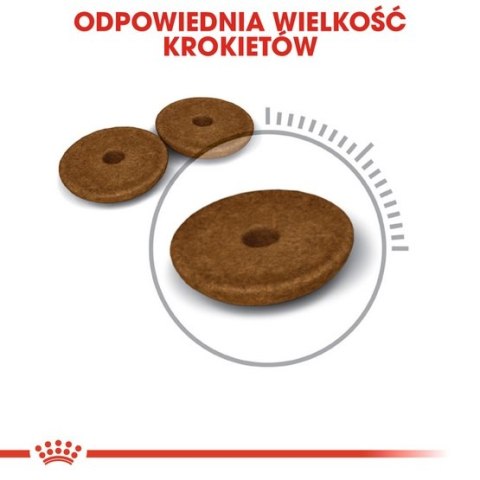 Royal Canin Digestive Care karma sucha dla kotów dorosłych, wspomagająca przebieg trawienia 2kg Royal Canin Digestive Care karma sucha dla kotów dorosłych, wspomagająca przebieg trawienia 2kg