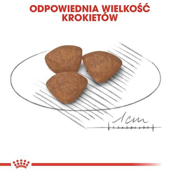Royal Canin Mini Puppy karma sucha dla szczeniąt, od 2 do 10 miesiąca życia, ras małych 4kg Royal Canin Mini Puppy karma sucha dla szczeniąt, od 2 do 10 miesiąca życia, ras małych 4kg