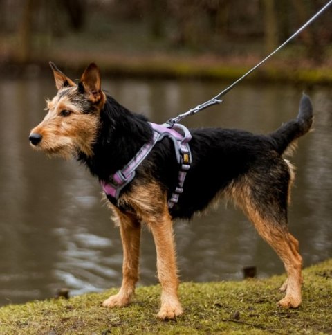Dingo Szelki bezuciskowe Dynamic Junior XS różowe Dingo Szelki bezuciskowe Dynamic Junior XS różowe