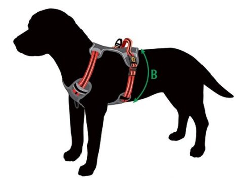 Dingo Szelki bezuciskowe Dynamic XS czarne Dingo Szelki bezuciskowe Dynamic XS czarne