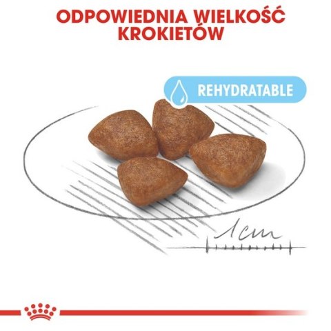Royal Canin Mini Starter Mother&Babydog karma sucha dla szczeniąt do 2 miesiąca i suk karmiących ras małych 1kg Royal Canin Mini Starter Mother&Babydog karma sucha dla szczeniąt do 2 miesiąca i suk karmiących ras małych 1kg