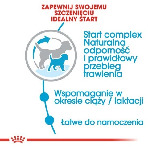 Royal Canin Mini Starter Mother&Babydog karma sucha dla szczeniąt do 2 miesiąca i suk karmiących ras małych 8kg Royal Canin Mini Starter Mother&Babydog karma sucha dla szczeniąt do 2 miesiąca i suk karmiących ras małych 8kg