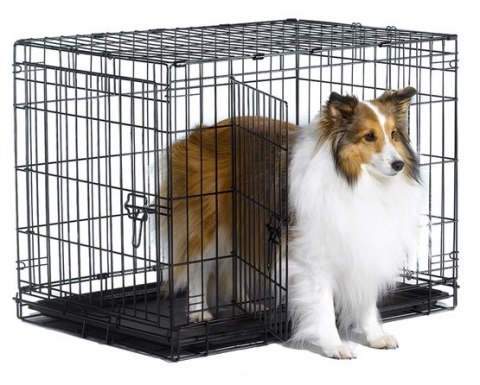 MidWest iCrate Double Door Klatka dla psa M 78x49x54,5cm [1530DD]