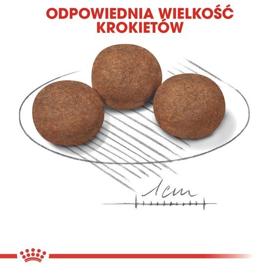 Royal Canin Medium Puppy karma sucha dla szczeniąt, od 2 do 12 miesiąca, ras średnich 15kg Royal Canin Medium Puppy karma sucha dla szczeniąt, od 2 do 12 miesiąca, ras średnich 15kg
