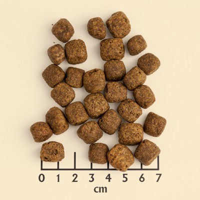 Wolfsblut Dog Black Bird Adult - indyk i bataty 2kg Wolfsblut Dog Black Bird Adult - indyk i bataty 2kg