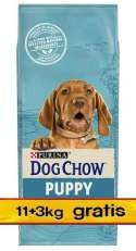 Purina Dog Chow Puppy Jagnięcina 14kg (11+3kg gratis)