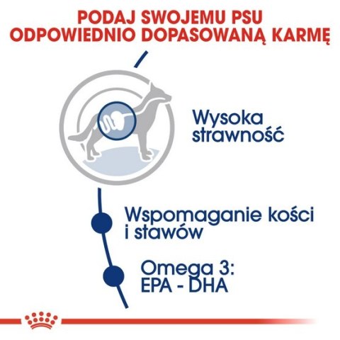 Royal Canin Maxi Adult karma sucha dla psów dorosłych, do 5 roku życia, ras dużych 18kg (15+3kg) Royal Canin Maxi Adult karma sucha dla psów dorosłych, do 5 roku życia, ras dużych 18kg (15+3kg)