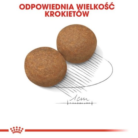 Royal Canin Maxi Adult karma sucha dla psów dorosłych, do 5 roku życia, ras dużych 18kg (15+3kg) Royal Canin Maxi Adult karma sucha dla psów dorosłych, do 5 roku życia, ras dużych 18kg (15+3kg)