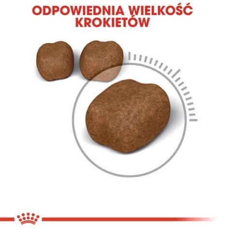 Royal Canin Dental Care karma sucha dla kotów dorosłych, redukująca odkładanie kamienia nazębnego 3,5kg Royal Canin Dental Care karma sucha dla kotów dorosłych, redukująca odkładanie kamienia nazębnego 3,5kg