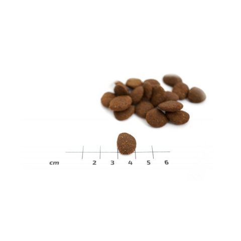 Eden Puppy Cuisine Łosoś Kurczak, Indyk Medium 2kg Eden Puppy Cuisine Łosoś Kurczak, Indyk Medium 2kg