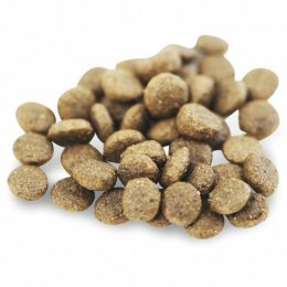 Fish4Dogs Superior Salmon Complete Adult Small 2x6kg