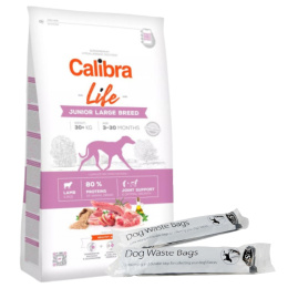 Calibra Dog Life Junior Large Breed Lamb 12kg+Gratis