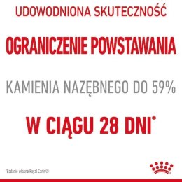 Royal Canin Dental Care karma sucha dla kotów dorosłych, redukująca odkładanie kamienia nazębnego 8kg