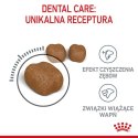 Royal Canin Dental Care karma sucha dla kotów dorosłych, redukująca odkładanie kamienia nazębnego 8kg