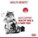 Royal Canin Hair&Skin Care karma sucha dla kotów dorosłych, lśniąca sierść i zdrowa skóra 4kg