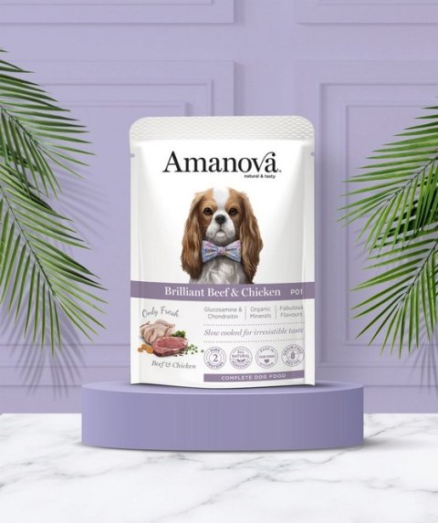 Amanova Dog Adult Brilliant Beef & Chicken - wołowina i kurczak saszetka 300g [P01]